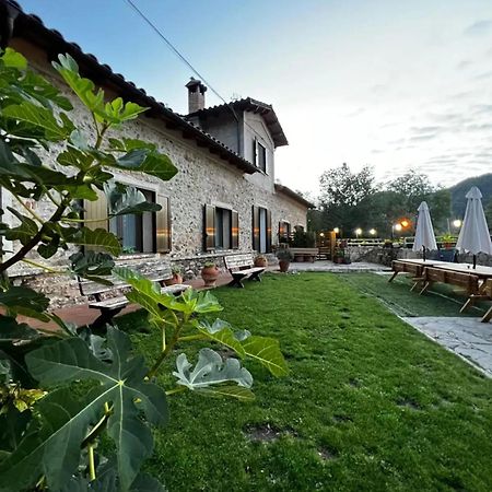 Spacious House In Ogassa With Terrace And Bbq Εξωτερικό φωτογραφία