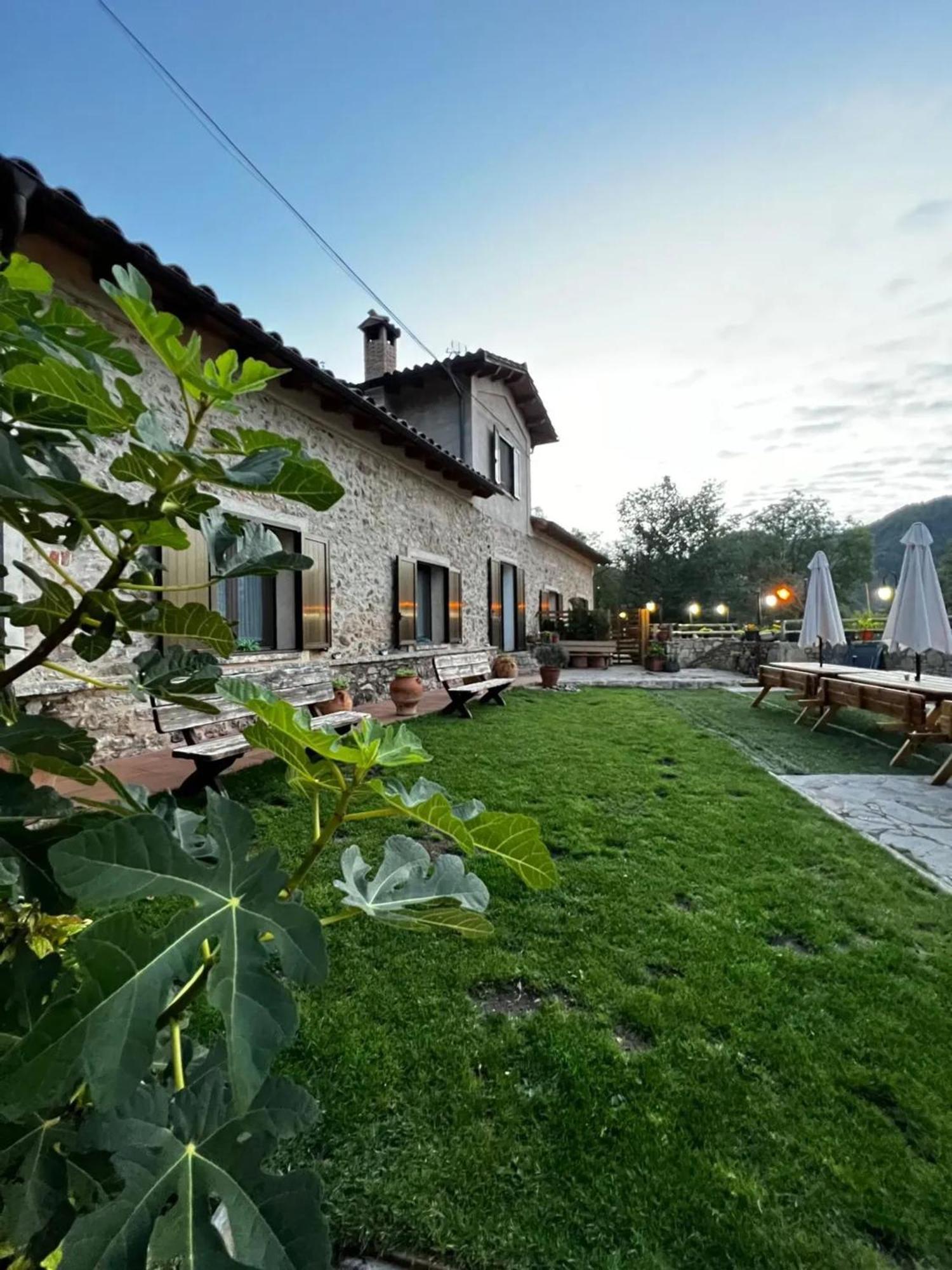 Spacious House In Ogassa With Terrace And Bbq Εξωτερικό φωτογραφία