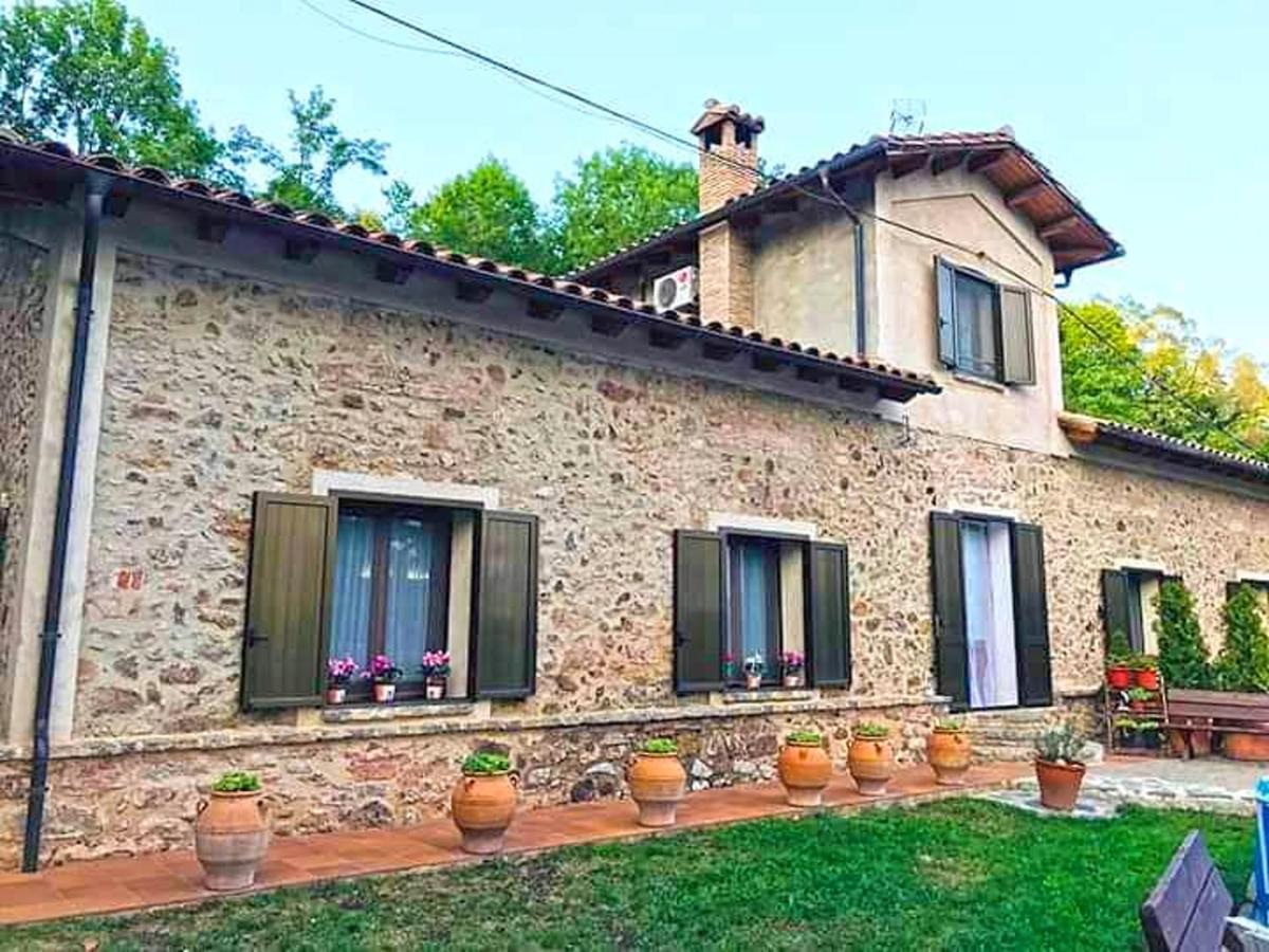 Spacious House In Ogassa With Terrace And Bbq Εξωτερικό φωτογραφία